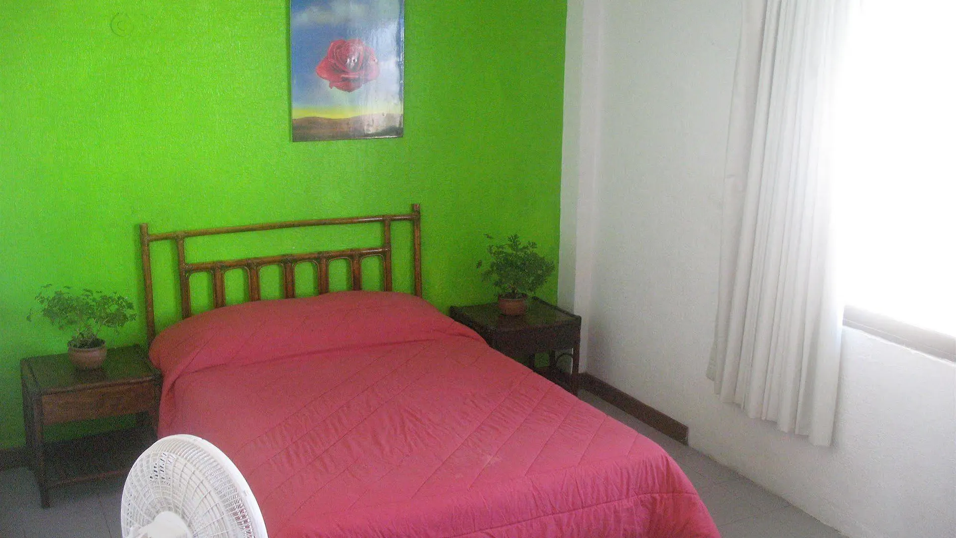 Hostel Mundo Maya Cancun Mexico